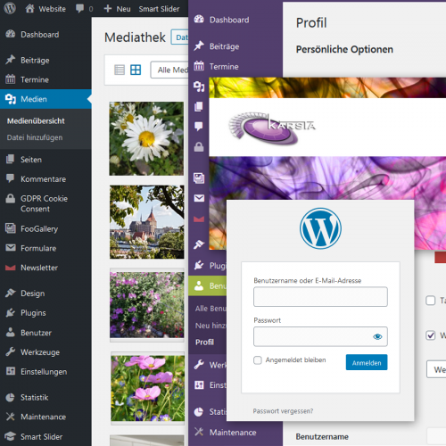 Individuelle Website mit Wordpress